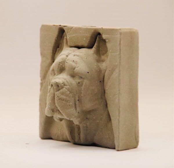 Amstaff – Image 3