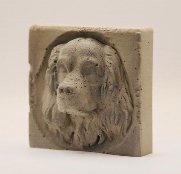 Cavalier-king-charles – Image 3