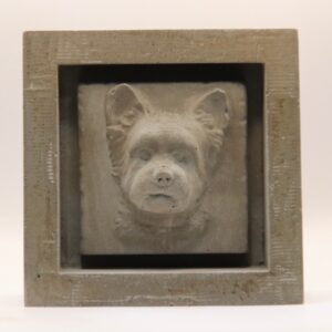 Biewer terrier