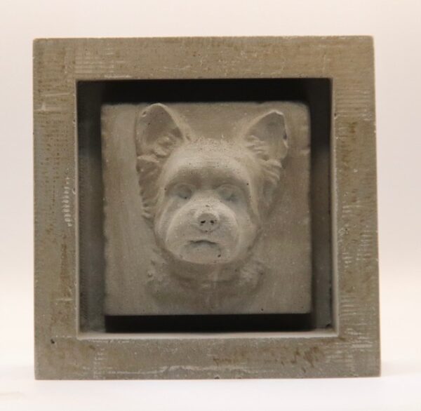Biewer terrier