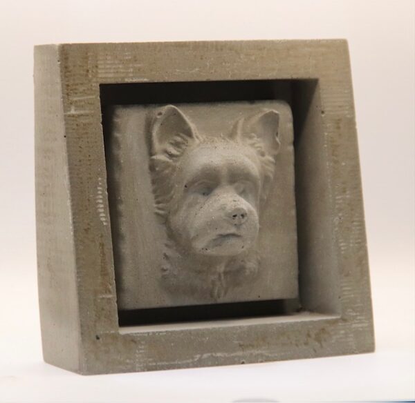 Biewer terrier – Image 2