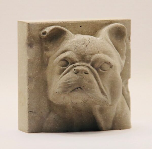 Buldog-francais – Image 2