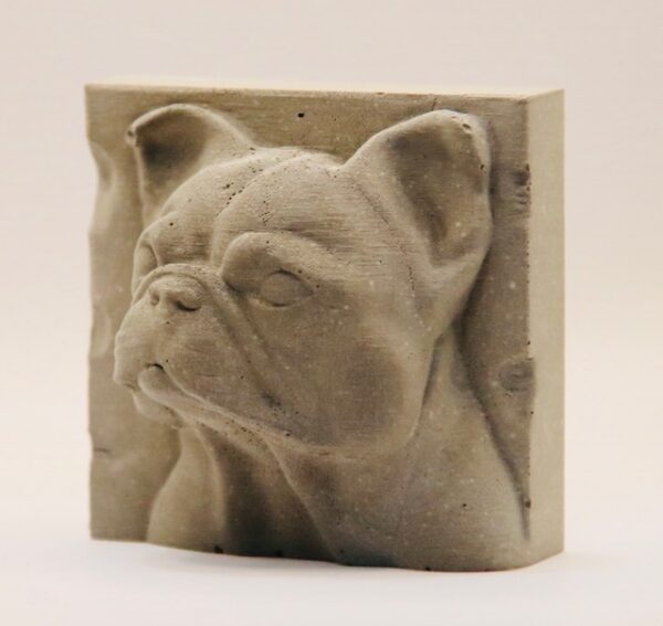 Buldog-francais – Image 3