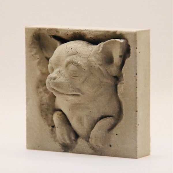 Chihuahua – Image 3