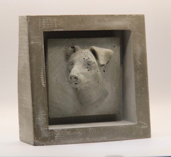 Jack russel – Image 2