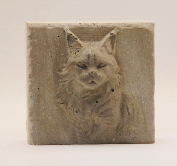 Maine coon