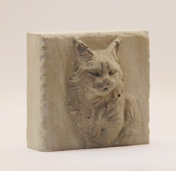 Maine coon – Image 2