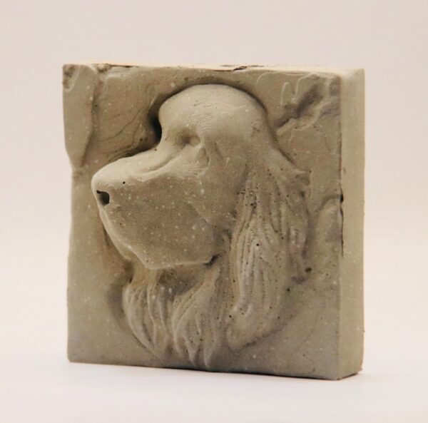 Setter irlandais – Image 3