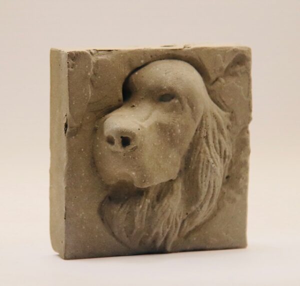 Setter irlandais – Image 2