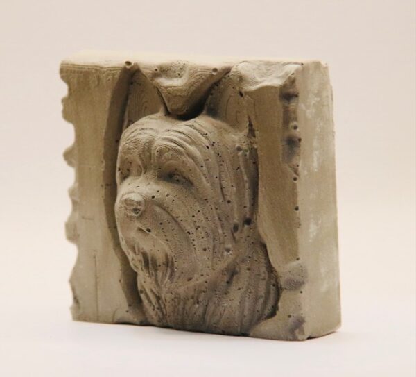 Yorkshire terrier – Image 3